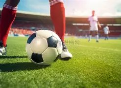 袁思俊斯诺,克世界大奖,赛败北罗伯,金年会,JinNianHui,金年会官网,金年会体育官网,金年会体育下载,金年会APP