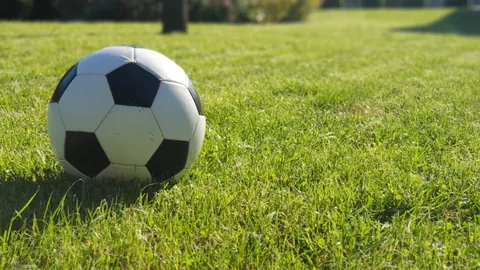 蓉城足球盛宴开幕：宋凯主席莅临，徐正源、韦世豪、胡荷韬热烈欢迎，携手开启足球新纪元